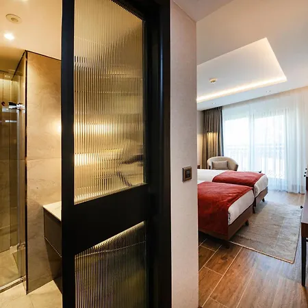 호텔 Levni Premium Old 4*