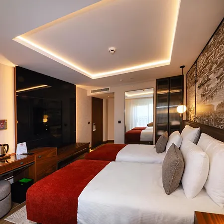 Levni Premium Old 호텔