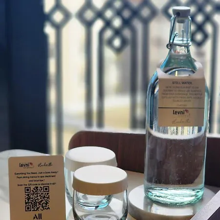 Levni Premium Old 호텔