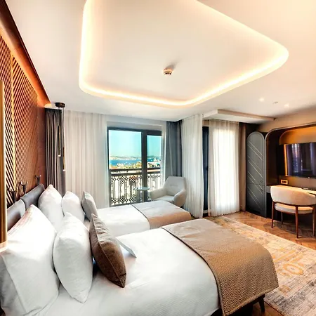 Levni Premium Old 4* Provincia di Istanbul