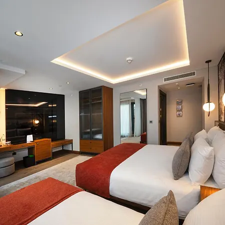 Hotel Levni Premium Old Estambul