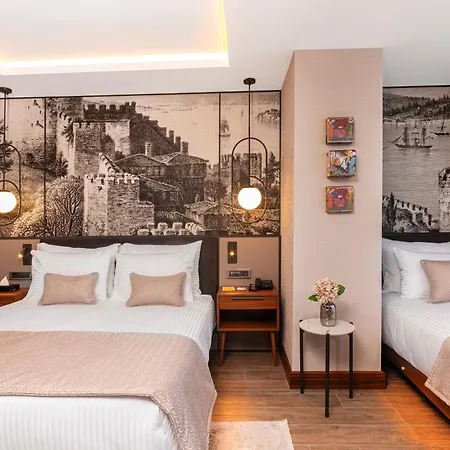 Levni Premium Old 4* Стамбул