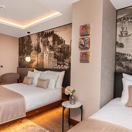 Levni Premium Old 4* Стамбул