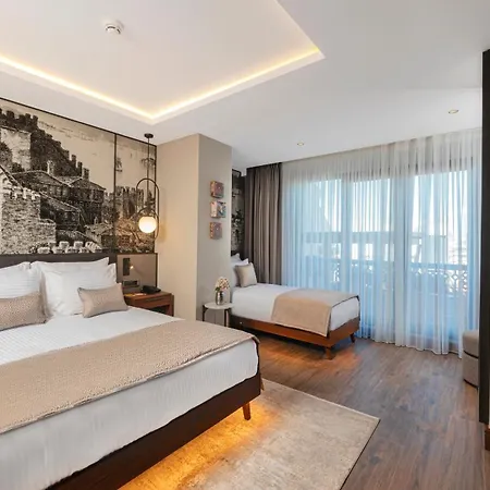 Levni Premium Old 4* Стамбул