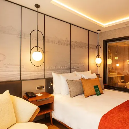 Levni Premium Old 4* Стамбул