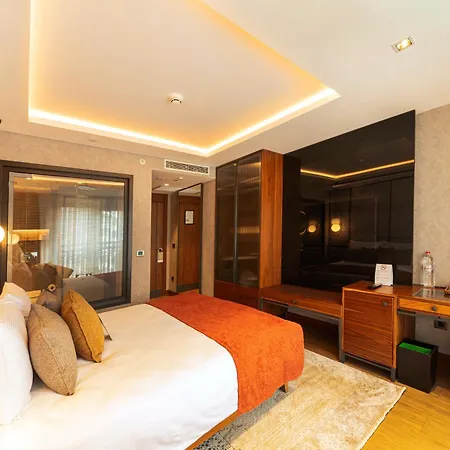 Levni Premium Old 4* Стамбул