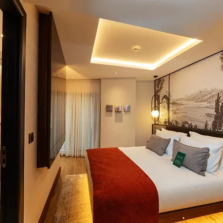 Hotel Levni Premium Old Estambul